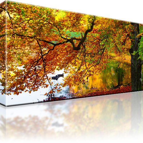 Park Wald Herbst Bild auf Leinwand 